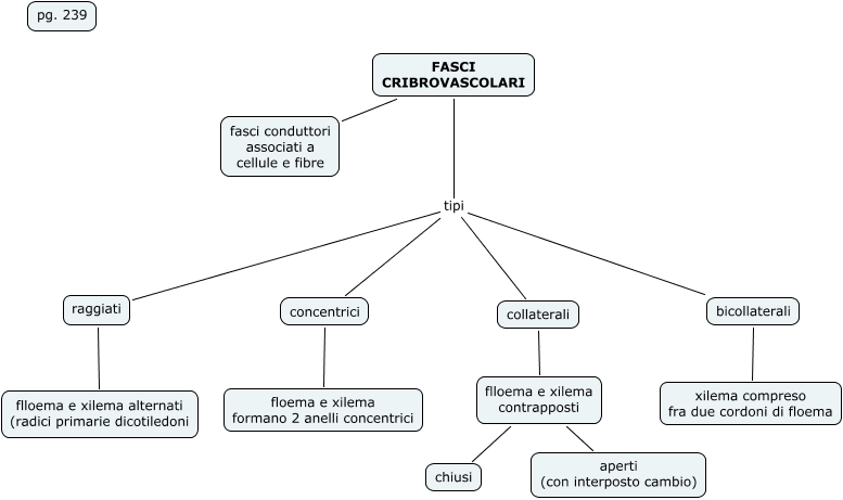 11.3 Fasci Cribrovascolari